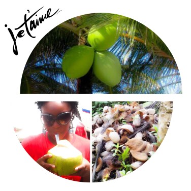 Processed with Moldiv