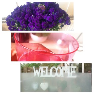 Processed with Moldiv