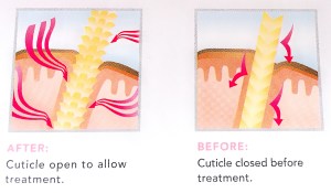 Werking Hair Therapy Wrap 