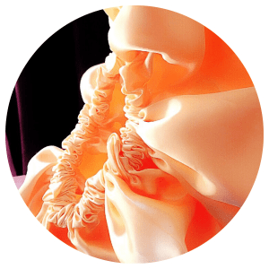 20150924_150150000_iOS