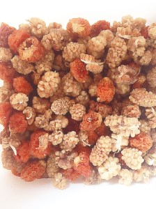 Inca bessen en Moerbei bessen gemengd